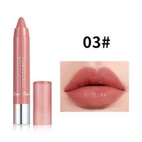 Drėkinamasis lūpų dažai Crayon Lūpdažis Nude Cameo Brown Lipstick Pen Lip Liner Lūpų balzamas Pen Solid Lip Gloss 03