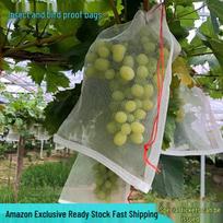 Nailono tinklelio vaisių apsaugos maišelis vynuogėms, yuzu, kriaušėms, apelsinams - Atsparus vabzdžiams, paukščiams ir lietui 20x30cm, 1 piece (for grapes and small loquats) gray