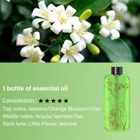 Aroma Diffuser Fragrance Essential Oil Aromatherapy Machine Timing Air Freshener Colorful Light Living Bedroom Toilet 70ml
