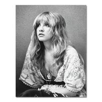 Stevie Nicks spaudinys Fleetwood Mac plakatas Woodstock roko muzikos menas 1970-ųjų roko plakatai drobės tapybos paveikslai namų sienos meno dekoras 21X30CMNo Framed