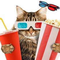 Universalūs raudonai mėlyni 3D akiniai, skirti dimensijų anaglifų filmų žaidimui