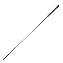21,5 colio stogo AM/FM antena, skirta Ford Focus 2000-2007 98BZ18A886AA-CR198