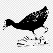 Agua Blanco Y Negro Duck Iron on Heat Transfer Printing Vinyl Patches Sticker for Clothes DIY Appliques Washable Patches beige