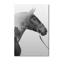 Juodai baltas arklio aliejinis paveikslas Sienų dekoracija Menas Gyvūnas Arklys Modernus plakatas Svetainės Miegamojo dekoracija 21cm×30cm NoFrame