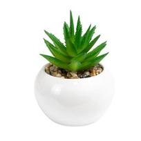 Dirbtiniai augalai Mini Realistiški Plačiai pritaikomi Aukštos kokybės Natūralūs Ryškūs Įvairaus stiliaus Dirbtiniai Sukulentai Bonsai svetainei 1