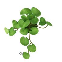 Simulation Green Plant Succulents Hands Feeling Not Withered Non-fading Easy Care Fine Workmanship Ornament Long Lasting Coriander Leaves B green