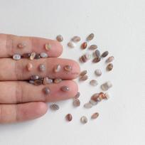 Persijos įlankos agato apvalus kabošonas, 8-10-18 mm, įvairių dydžių, „pasidaryk pats“ aksesuarų lipdukai gray