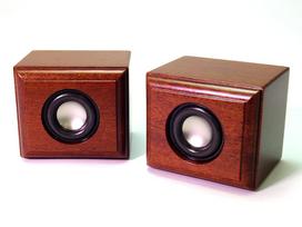 Takai Koge High Craft Rose Mahogany Wood Audio Speakers with Terminals Ultra-Compact HC-TX051 (Pair) High-Quality