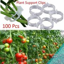 Patvarūs skaidrūs 30/50/100 vnt. Augalų atraminiai segtukai Vynuogių sodo daržovės 23 mm Augalų tipams 30pcs