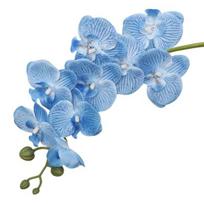 Dirbtinės orchidėjų gėlės ilgais stiebais, realistiškos Phalaenopsis orchidėjos, nereikalaujančios priežiūros 69cm mėlyna
