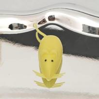 Baby Tooth Box - High Temp Resistant, Dental Ornament, Small Mouse Design, Disposable