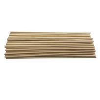 100 augalų atraminių strypų Sodo įrankiai Augalų atraminiai strypai 3mm * 20cm