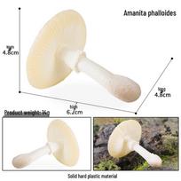 Cross-Border Mushroom Keyring Toy: Shiitake, White Death Cap, Enoki, Matsutake, Amanita Muscaria.