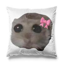 Aertemisi Sad Hamster Meme Hamster With Big Eyes Square Throw Pillow Cushion Covers Cases Pillowcases 45Cm X 45Cm Peach skin 18*18(CM)-1Pcs