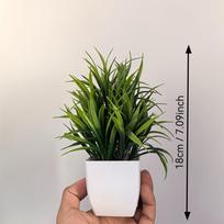 Žavingas mini dirbtinis vazoninis augalas su pagrindu, puikiai tinkantis namų, biuro, sodybos vonios kambario dekoravimui. Rinkinį sudaro vazonas, stalo dekoracija 1pc