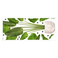 3D Žaliųjų augalų sienų lipdukas Ryškus namų dekoras Lengva pritaikyti vandeniui atsparus bendrabučio miegamajame gyvenamajame kambaryje žalia