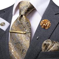 Hi-Tie vyriškas Paisley šilko kaklaraiščio rinkinys sagės segtukas kaklaraištis Hanky ​​rankogalių segtukas verslo vestuvėms N-0271