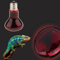 BASKING HEAT REPTILE RED BULB lemputė 100W