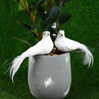2 vnt White Doves plunksnų dirbtinės putos Lover Peace Doves Bird namų dekoras 18 * 4*6cm balta