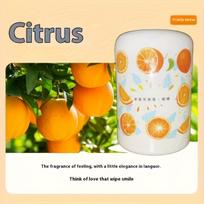 Kieti kvepalų oro gaivikliai - 6 aromatai, tinkami automobiliams, namams, virtuvėms, miegamiesiems ir vonios kambariams - Dekoratyviniai sferiniai indai su dangteliais Citrus