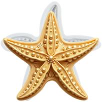 Starfish Silicone Mold Starfish Fondant Molds Cake Decorating Tools Theme Cake Dessert Decorated Chocolate Candy Mold pilka spalva