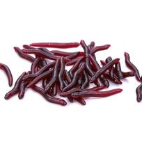 Sliekas Minkšti masalai Gyvas minkštas raudonasis sliekas Slieko žvejybos masalas Dirbtinis masalas su žuvies kvapu Krevečių priedas ešeriams karpiams 20pcs
