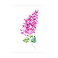 WCIC Nauji kabantys paveikslėliai Akvarelė Menas Gėlė Dekoratyvinė tapyba Meno Audinys Namo fonas Sienų apdaila Kabantys Tapyba 30cm*40cm pink