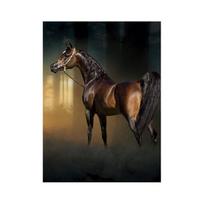 Šiuolaikinės baltos arabų arklio drobės tapybos sienos Meno paveikslai su gyvūnais plakatai ir spaudiniai gyvenamojo kambario namų dekoravimui Cuadros 21cm×30cm NoFrame