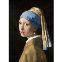 Vermeer perlų auskarai, mergaitė 1665 m. parodos plakatų menas, atspausdintas ant drobės, namų dekoravimas 21cm×30cm NoFrame