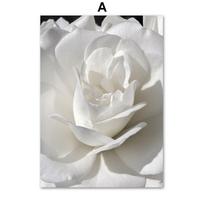 Balta bijūninė rožė Gėlė Paprastumas Drobės tapyba Nordic Plakatai Spaudiniai Augalai Kambario dekoras Sienos meno paveikslai Namų dekoravimas 21X30cm No Frame gray