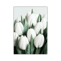 Baltoji tulpė, žalia orchidėja, alavijas, monstera, augalų meno drobės tapyba, skandinaviški plakatai ir spaudiniai, sienų paveikslai svetainės dekorui 21x30cm No Framed