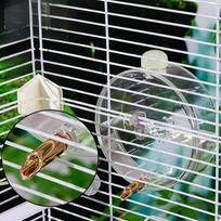 Parrot Bird Water Feeder,Bird Waterer,Bird Drinking Dispenser,Automatic for gray