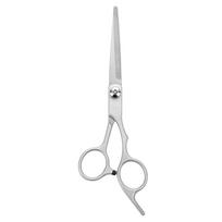 6 colių nerūdijančio plieno kirpyklų žirklės ir dantų žirklių rinkinys kirpykloms Flat Cut sidabras