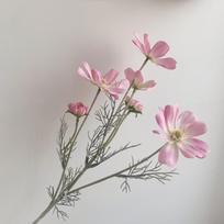 Dirbtiniai Coreopsis Cosmos Šilkiniai Gėlės Namų & Vestuvių Dekoravimui