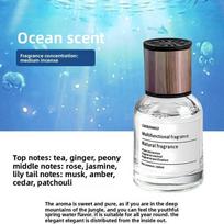 65ML/160ML Automobilio kvepalai Ilgai išliekantis aromatas Dvejopo naudojimo tiek automobiliui, tiek kambariui Dezodoruojantis oro gaiviklis Azure Ocean 160ML gray