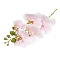 Realus lietimas Netikri orchidėjų žiedai Dirbtinio šilko Dirbtinė Phalaenopsis gėlė su 5 žiedų galvutėmis Namų interjero dekoravimui Biuro stalo puošmena Gėlių