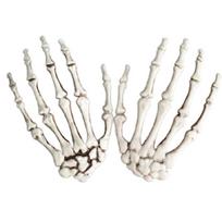 2 Pack Halloween Skeleton Hands Realistic Life Size Severed Plastic Skeleton 1