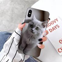 Pilkas britų trumpaplaukis katės telefono dėklas iPhone 14 13 12 11 XS X 8 7 6 Plus Mini Pro Max SE 2022 Minkštas juodas telefono dangtelis iPhone 14