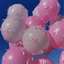 5 vnt Vestuvių Rožinis Ins lanko balionas, pasiūlymo ceremonija 12inch pink