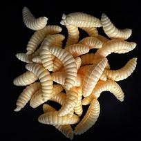 20/50/100 vnt. Minkštas slieko imitacijos lervos žvejybos masalas Slieko masalas 2 cm / 0,79 colio Dirbtinis bioninis minkštas slieko masalas, Lauko žvejybos įranga 20PCS geltona