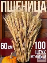 100 vnt. džiovintų kviečių stiebų puokštė, natūralios kviečių žolės džiovintos gėlės namų dekoravimui, vestuvių amatininkystei, „pasidaryk pats“ gėlių kompozicijoms ir dovanoms One Size chaki