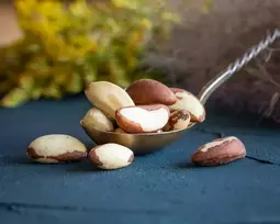 Ekologiški bertoletijų (braziliški) riešutai - 19.96 kg