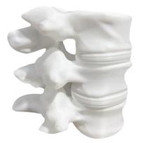 Spine Shape Pen Holder 3D Printing Ornaments Practical Desktop Storage Lumbar Spine Model Container for Orthopedic Students balta