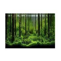 PVC Lipnus Po Vandeniu Miško Akvariumo Fonas Plakatas Fono Dekoravimo Popierius (61*41cm)