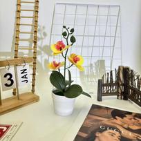 Keturlapė Phalaenopsis Dirbtinis vazoninis augalas Mažas Yuan puodas Dirbtinė gėlė Dekoratyvinis elementas beige