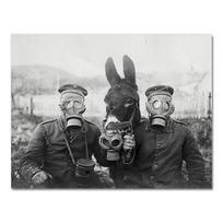 Pirmojo pasaulinio karo juodai baltas fotoplakatas spausdina asilą ir du vokiečių kareivius, antikvarinę fotografiją, sieną, drobės, tapybos dekorą 21X30CMNo Framed