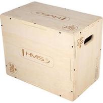 Pliometrinė dėžė DSC04 50x40x30 cm HMS