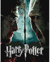 Tapyba pagal skaičius: „HARIS POTERIS“ Haris ir Voldemortas su metaliko dažais Warner Bros 40x50 dėžutėje