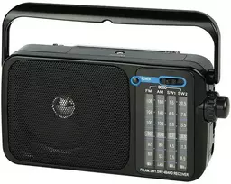77-553# Nešiojamas analoginis AM/FM radijas „Blow RA15“