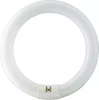 „Philips Master TL-E Circular Super 80“ apvali fluorescencinė lempa, G10q, 32 W, 2375 lm, 3000 K (8711500559685)